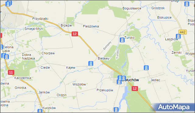 mapa Bielawy gmina Gołuchów, Bielawy gmina Gołuchów na mapie Targeo