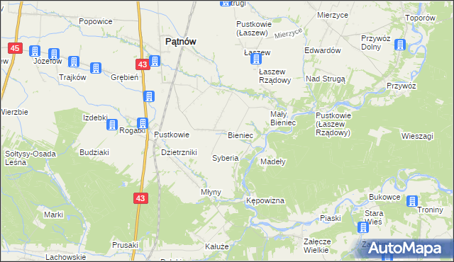 mapa Bieniec gmina Pątnów, Bieniec gmina Pątnów na mapie Targeo