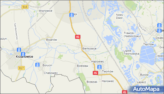 mapa Bieńkowice gmina Krzyżanowice, Bieńkowice gmina Krzyżanowice na mapie Targeo