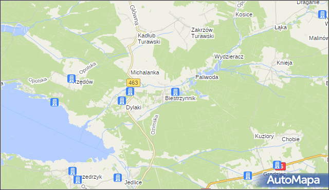 mapa Biestrzynnik, Biestrzynnik na mapie Targeo