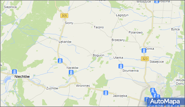 mapa Bogucin gmina Niechlów, Bogucin gmina Niechlów na mapie Targeo