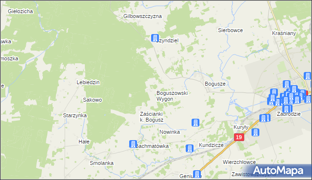 mapa Boguszowski Wygon, Boguszowski Wygon na mapie Targeo