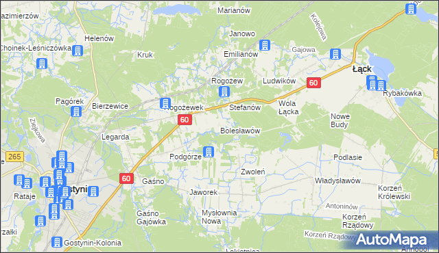 mapa Bolesławów gmina Gostynin, Bolesławów gmina Gostynin na mapie Targeo