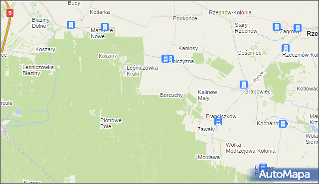 mapa Borcuchy gmina Rzeczniów, Borcuchy gmina Rzeczniów na mapie Targeo