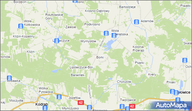 mapa Borki gmina Masłowice, Borki gmina Masłowice na mapie Targeo