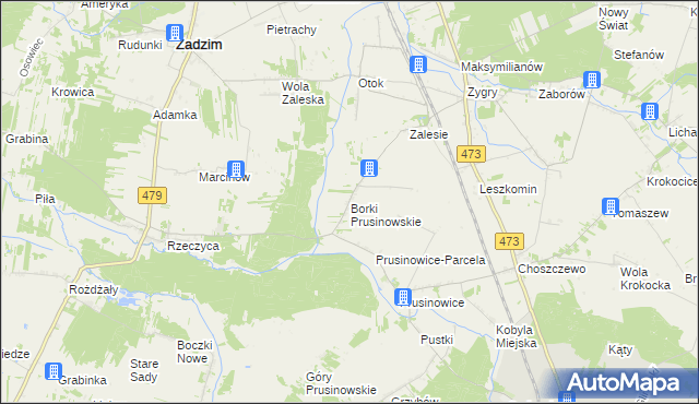 mapa Borki Prusinowskie, Borki Prusinowskie na mapie Targeo