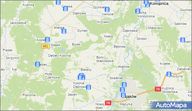 mapa Borki Walkowskie, Borki Walkowskie na mapie Targeo