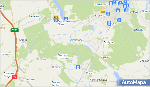 mapa Borkowice gmina Mosina, Borkowice gmina Mosina na mapie Targeo