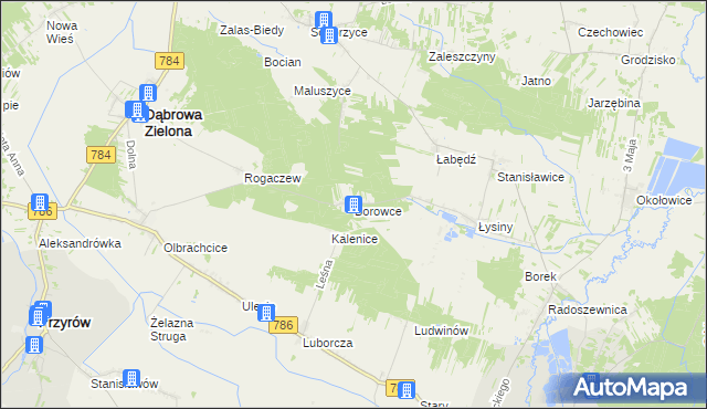 mapa Borowce gmina Dąbrowa Zielona, Borowce gmina Dąbrowa Zielona na mapie Targeo