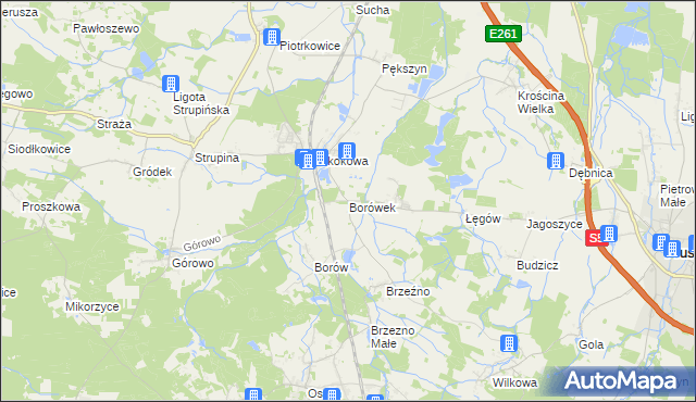mapa Borówek gmina Prusice, Borówek gmina Prusice na mapie Targeo
