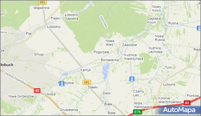 mapa Borowianka, Borowianka na mapie Targeo