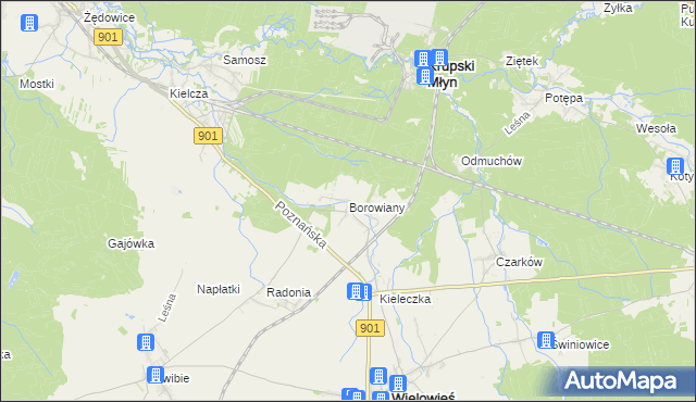 mapa Borowiany, Borowiany na mapie Targeo