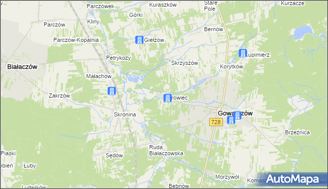 mapa Borowiec gmina Gowarczów, Borowiec gmina Gowarczów na mapie Targeo