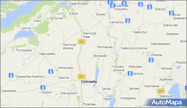 mapa Borówiec gmina Ostrowite, Borówiec gmina Ostrowite na mapie Targeo