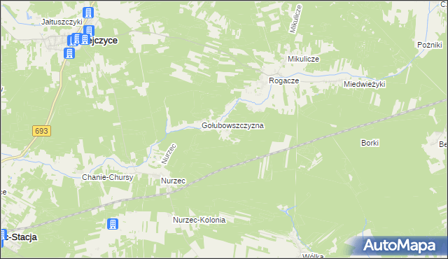 mapa Borowiki, Borowiki na mapie Targeo