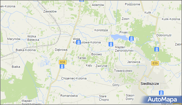 mapa Borowo gmina Siedliszcze, Borowo gmina Siedliszcze na mapie Targeo