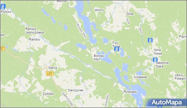 mapa Borowy Młyn gmina Pszczew, Borowy Młyn gmina Pszczew na mapie Targeo