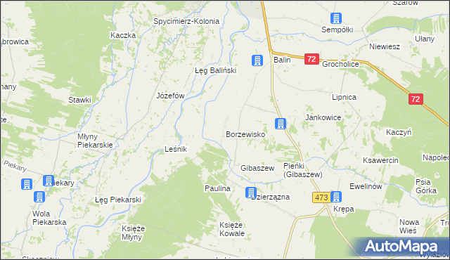 mapa Borzewisko gmina Poddębice, Borzewisko gmina Poddębice na mapie Targeo