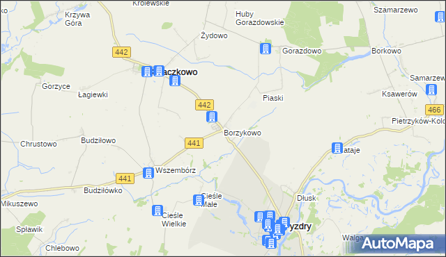 mapa Borzykowo gmina Kołaczkowo, Borzykowo gmina Kołaczkowo na mapie Targeo