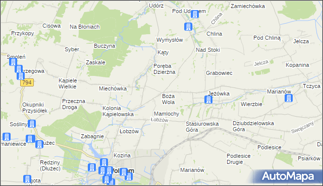 mapa Boża Wola gmina Wolbrom, Boża Wola gmina Wolbrom na mapie Targeo