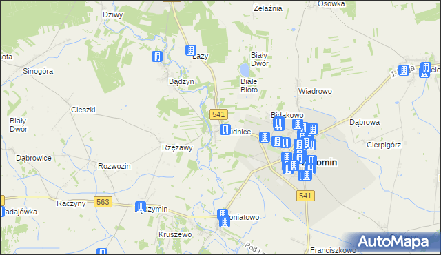 mapa Brudnice, Brudnice na mapie Targeo