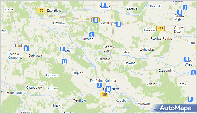 mapa Brzezie gmina Drużbice, Brzezie gmina Drużbice na mapie Targeo