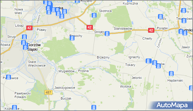 mapa Brzeziny gmina Praszka, Brzeziny gmina Praszka na mapie Targeo