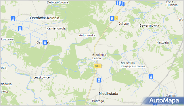 mapa Brzeźnica Leśna, Brzeźnica Leśna na mapie Targeo