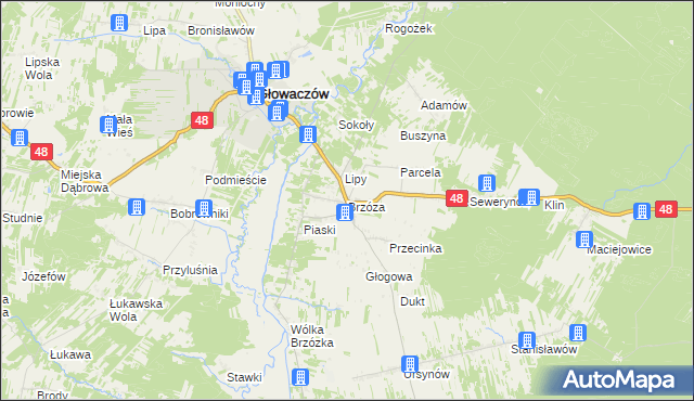 mapa Brzóza, Brzóza na mapie Targeo