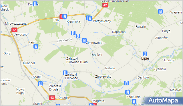 mapa Brzózki gmina Lipie, Brzózki gmina Lipie na mapie Targeo