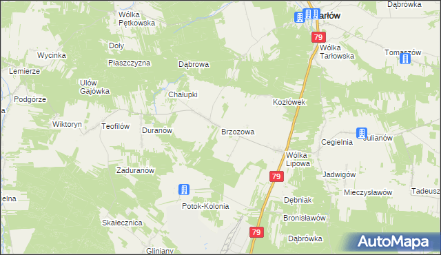 mapa Brzozowa gmina Tarłów, Brzozowa gmina Tarłów na mapie Targeo