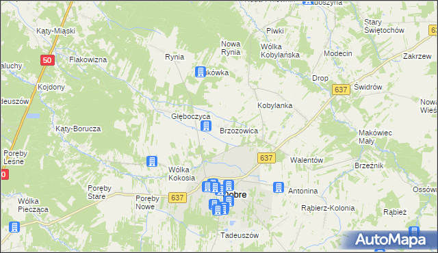 mapa Brzozowica gmina Dobre, Brzozowica gmina Dobre na mapie Targeo