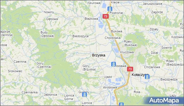 mapa Brzyska, Brzyska na mapie Targeo