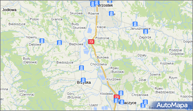 mapa Bukowa gmina Brzostek, Bukowa gmina Brzostek na mapie Targeo