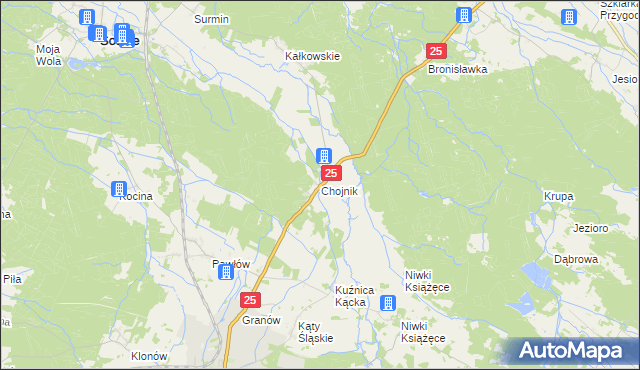 mapa Chojnik gmina Sośnie, Chojnik gmina Sośnie na mapie Targeo