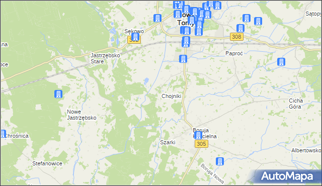 mapa Chojniki gmina Nowy Tomyśl, Chojniki gmina Nowy Tomyśl na mapie Targeo