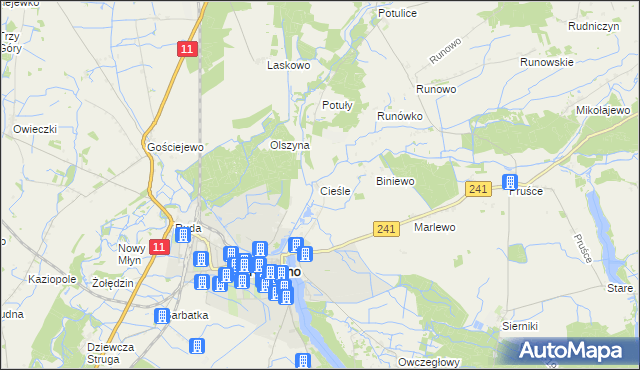 mapa Cieśle gmina Rogoźno, Cieśle gmina Rogoźno na mapie Targeo