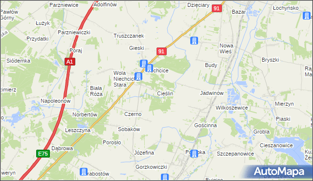 mapa Cieślin gmina Rozprza, Cieślin gmina Rozprza na mapie Targeo