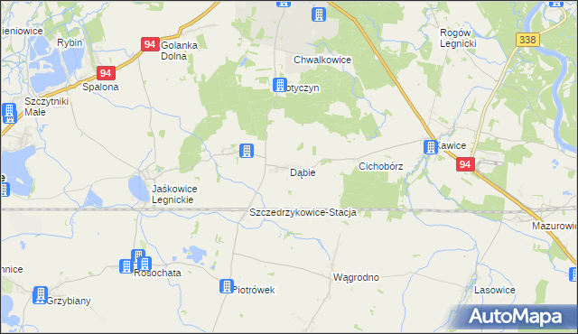 mapa Dąbie gmina Prochowice, Dąbie gmina Prochowice na mapie Targeo