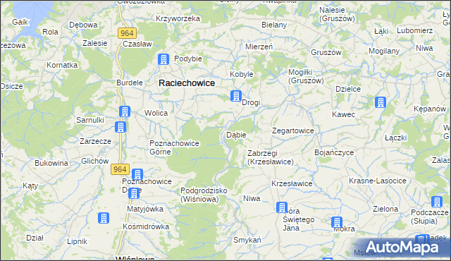 mapa Dąbie gmina Raciechowice, Dąbie gmina Raciechowice na mapie Targeo