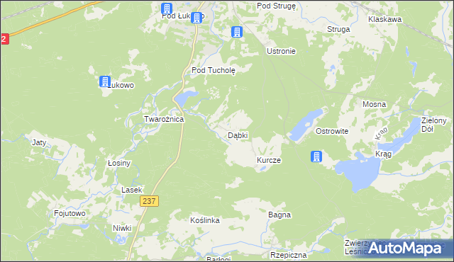 mapa Dąbki gmina Czersk, Dąbki gmina Czersk na mapie Targeo