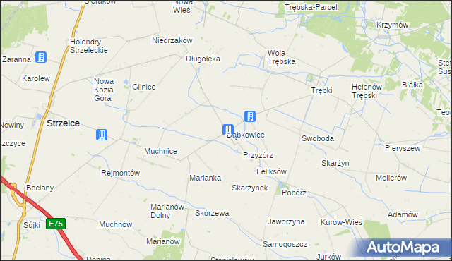 mapa Dąbkowice gmina Strzelce, Dąbkowice gmina Strzelce na mapie Targeo