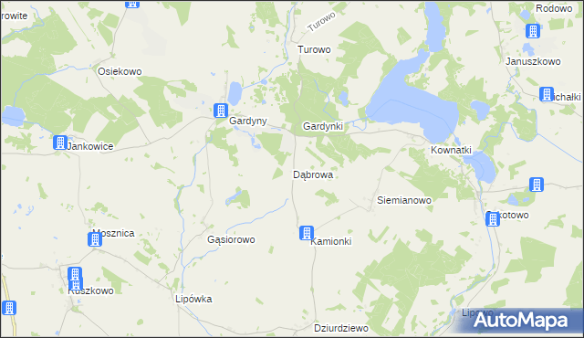 mapa Dąbrowa gmina Dąbrówno, Dąbrowa gmina Dąbrówno na mapie Targeo