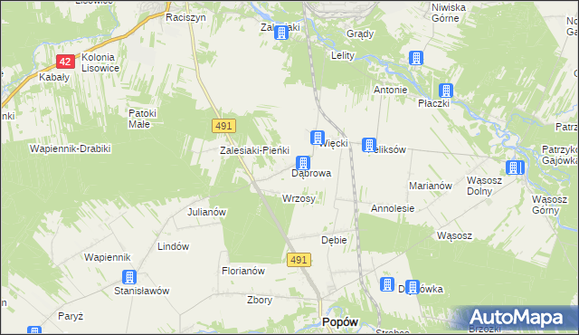 mapa Dąbrowa gmina Popów, Dąbrowa gmina Popów na mapie Targeo