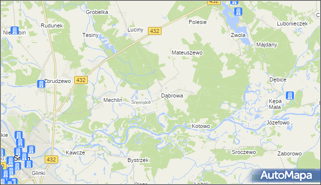 mapa Dąbrowa gmina Śrem, Dąbrowa gmina Śrem na mapie Targeo