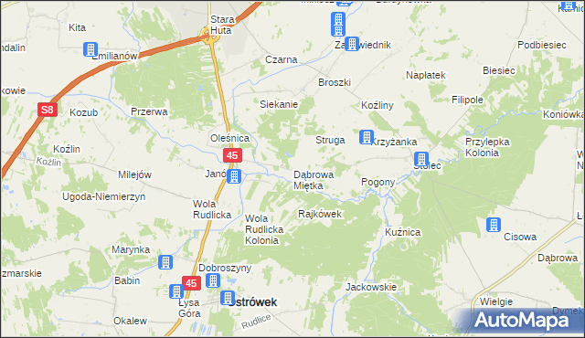 mapa Dąbrowa Miętka, Dąbrowa Miętka na mapie Targeo