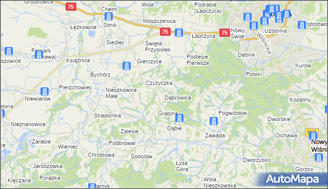 mapa Dąbrowica gmina Bochnia, Dąbrowica gmina Bochnia na mapie Targeo