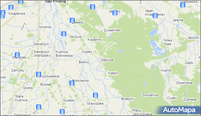 mapa Dębicze, Dębicze na mapie Targeo