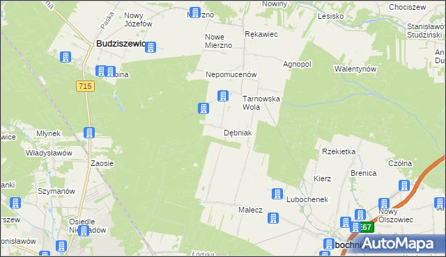 mapa Dębniak gmina Lubochnia, Dębniak gmina Lubochnia na mapie Targeo