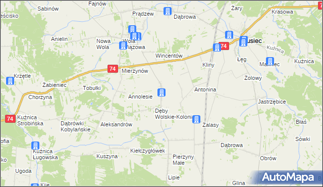 mapa Dęby Wolskie, Dęby Wolskie na mapie Targeo